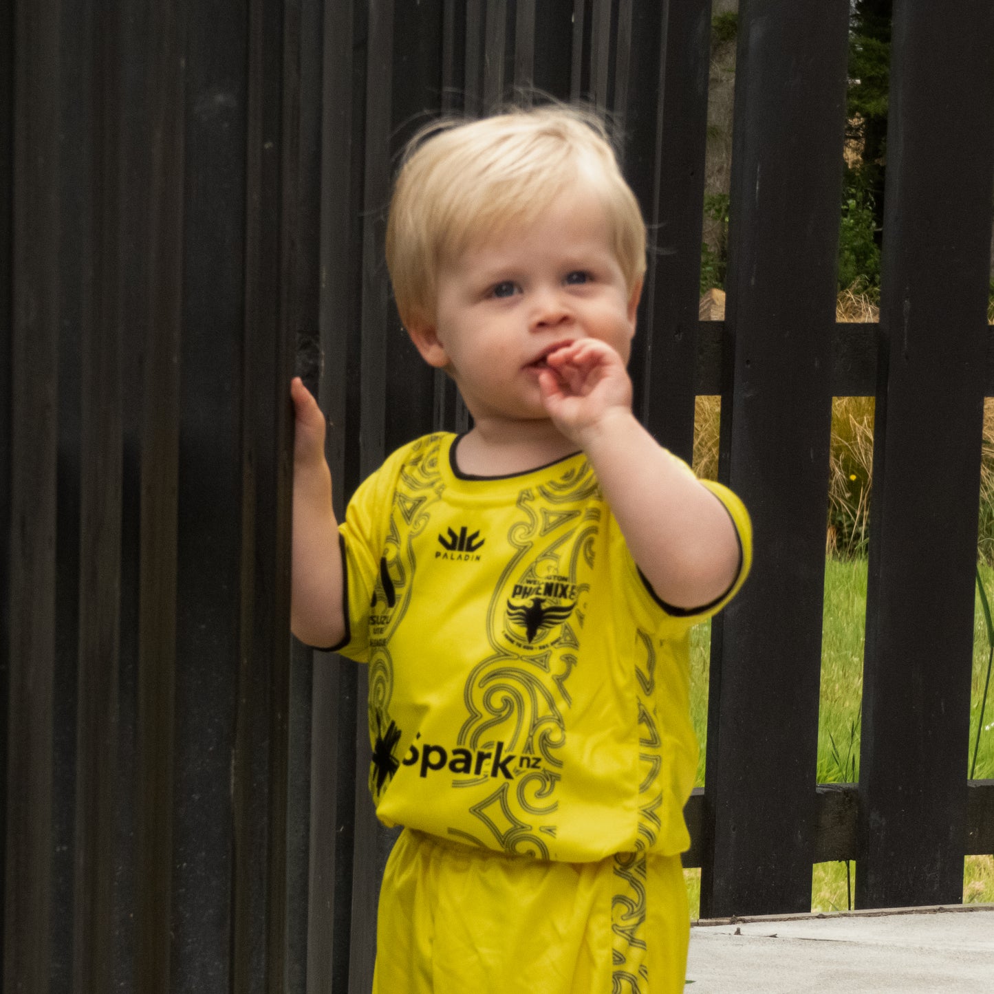 Wellington Phoenix A-League Replica Yellow Jersey - Toddler