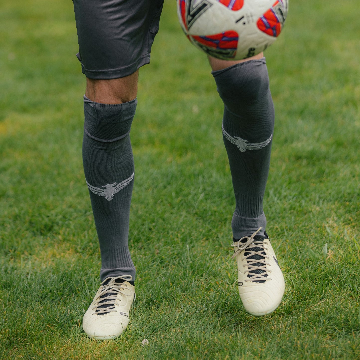 Wellington Phoenix A-League Replica Dark Socks